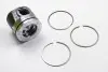 Поршень Master/Movano III 2.3dCi 10- (85.00mm/STD) RENAULT 120A17400R (фото 1)