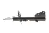 Амортизатор перед 1,5dci/1.6 16V Kangoo II 2008- RENAULT 543029762R (фото 1)