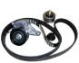 Комплект ремня генератора Trafic/Laguna/Megane 2.0dCi 06- RENAULT 7701478493 (фото 1)
