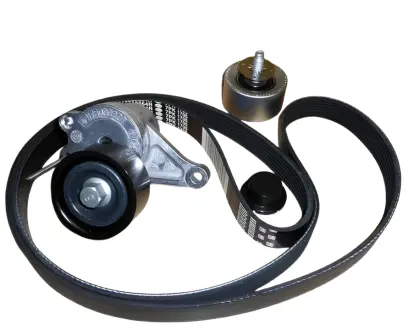 Комплект ремня генератора Trafic/Laguna/Megane 2.0dCi 06- RENAULT 7701478493