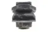 Подушка двигуна (L) Kangoo 1.5dCi/1.6 08- RENAULT 8200358147 (фото 4)