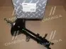 Амортизатор підв. HYUNDAI MATRIX 01-10 задн. прав. газ. RIDER RD.2870333504 (фото 2)
