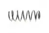 Пружина підв. VW Golf IV 97-05 передн. (1,9TDI) RIDER RD.34110062 (фото 1)