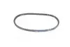 Ремень ГУР CHERY AMULET, ZAZ FORZA RIDER RD.A113412051 (фото 1)
