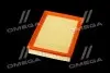 Фільтр повітряний ExtraClean CHRYSLER RIDER REC130005 (фото 4)