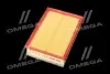 Фильтр воздушный ExtraClean OPEL RIDER REC130194 (фото 2)