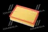 Фильтр воздушный ExtraClean OPEL RIDER REC130194 (фото 3)