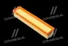Фильтр воздушный ExtraClean DACIA RIDER REC130196 (фото 1)
