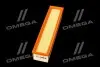 Фильтр воздушный ExtraClean DACIA RIDER REC130196 (фото 2)