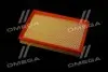 Фильтр воздушный ExtraClean OPEL RIDER REC130221 (фото 3)