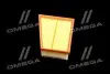 Фильтр воздушный ExtraClean RENAULT RIDER REC130231 (фото 4)