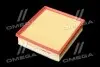 Фильтр воздушный ExtraClean OPEL RIDER REC130245 (фото 2)