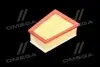 Фільтр повітряний ExtraClean RENAULT RIDER REC130250 (фото 4)
