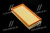 Фільтр повітряний ExtraClean VAG RIDER REC130260 (фото 1)