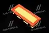 Фільтр повітряний ExtraClean RENAULT RIDER REC130266 (фото 1)