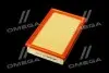 Фильтр воздушный ExtraClean FORD RIDER REC130277 (фото 2)