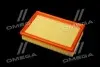 Фильтр воздушный ExtraClean FORD RIDER REC130277 (фото 3)