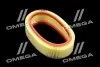 Фильтр воздушный ExtraClean DACIA RIDER REC130296 (фото 1)