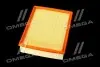Фільтр повітряний ExtraClean VAG RIDER REC130301 (фото 4)