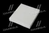 Фильтр салона ExtraClean FORD RIDER REC610192 (фото 2)