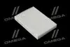 Фильтр салона ExtraClean DACIA RIDER REC610273 (фото 1)