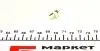 Автолампа 24V 1.2W B8.5d LED Grey (в щиток приборов) Ring R508TLED (фото 4)