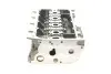 Головка блоку циліндрів Audi Q3/VW Caddy IV/Golf VII 1.4 TSI 11- (всередині OE VAG) ROTWEISS 04E103064F (фото 4)