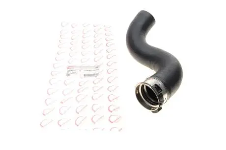 Патрубок интеркулера Renault Megane III/Scenic III 1.9 dCi 08- ROTWEISS RWS2376