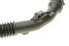 Патрубок інтеркулера Renault Kangoo 1.5dCi 08- ROTWEISS RWS2444 (фото 4)