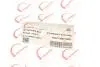 Патрубок интеркулера Ford Transit TT9 2.2TDCI 06- ROTWEISS RWS2547 (фото 2)