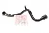 Патрубок интеркулера Renault Fluence/Scenic III/Megane III 1.5dCi 09- ROTWEISS RWS2694 (фото 1)