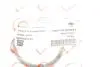 Прокладка впускного коллектора Renault Kangoo/Laguna II/Trafic 1.4-2.0 01- ROTWEISS RWS2845 (фото 2)