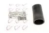 Патрубок интеркулера Audi A3/Q3/Skoda Super B/VW Caddy III 1.6-2.0TDI 10- ROTWEISS RWS3615 (фото 3)