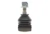 Опора шаровая (передняя/снизу) Smart City-Coupe 98-04/Cabrio 00-04/Roadster 03-05 RTS 93-01446-056 (фото 5)
