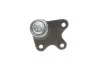 Опора кульова (передня/знизу/L) Seat Cordoba/Ibiza 02-/Skoda Fabia 99-14/Roomster 06-15/VW Polo 01- RTS 93-05340-256 (фото 4)