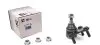 Опора шаровая (передняя/снизу/R) Audi A3/Skoda Octavia/SuperB/VW Caddy/Golf/Jetta/Touran/Tiguan 03- RTS 93-05993-156 (фото 1)