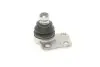 Опора шаровая (передняя/снизу/L) Renault Kangoo 08-/MB Citan 12- (d=20mm) RTS 93-90419-256 (фото 5)
