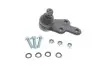 Опора шаровая (передняя/снизу/R) Ford Kuga I/II 08- (d=21mm) RTS 93-90614-156 (фото 1)