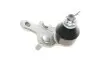 Опора шаровая (передняя/снизу/R) Lexus RX 03-08/Toyota Camry 01-11 RTS 93-92554-1 (фото 1)