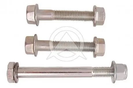 Болт рычага передн. Audi A4/6 / Skoda SuperB / Volkswagen Passat IV/V (к-кт 3 шт) SIDEM 37001