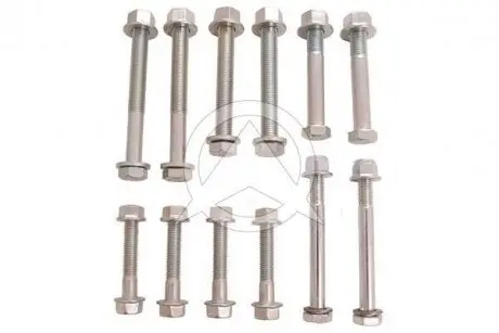 Болт рычага передн. оси Audi A4/A6 -05 (к-кт 12 шт) SIDEM 37386