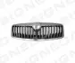 Решітка радіатора SKODA OCTAVIA, 09 - 13 Signeda PSD07011GA (фото 1)