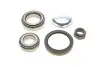 Подшипник ступицы (задней) Fiat Ducato/Citroen Jumper 94-02 (30x55x17/40x68x19.5) (к-кт) SKF VKBA 3429 (фото 2)