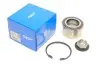Подшипник ступицы (передней) Ford Connect 02- (+ABS) SKF VKBA6520 (фото 1)