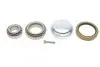 Подшипник ступицы (передней) MB E-class (A124)/SL (R129) 89-01 (к-кт) SKF VKBA 6645 (фото 1)