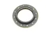 Монтажний комп-кт Амортизатора SKF VKD 75026 T (фото 2)