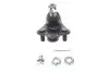 Опора шаровая (передняя/снизу) Honda CR-V/HR-V 1.5-2.2CTDi 06- SKF VKDS 813000 (фото 1)