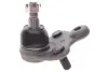 Опора кульова (передня/знизу/L) Honda CR-V 2.0/2.4/2.2D 06-12 SKF VKDS813013 (фото 5)