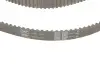 Комплект ГРМ VW Caddy/Sharan/Seat Ibiza 1.9TDI/SDI 95-06 (25x137) SKF VKMA 01019 (фото 3)