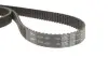 Комплект ГРМ Audi 80/100/A6 2.6/2.8 90-00 (25.4x239) SKF VKMA 01200 (фото 9)